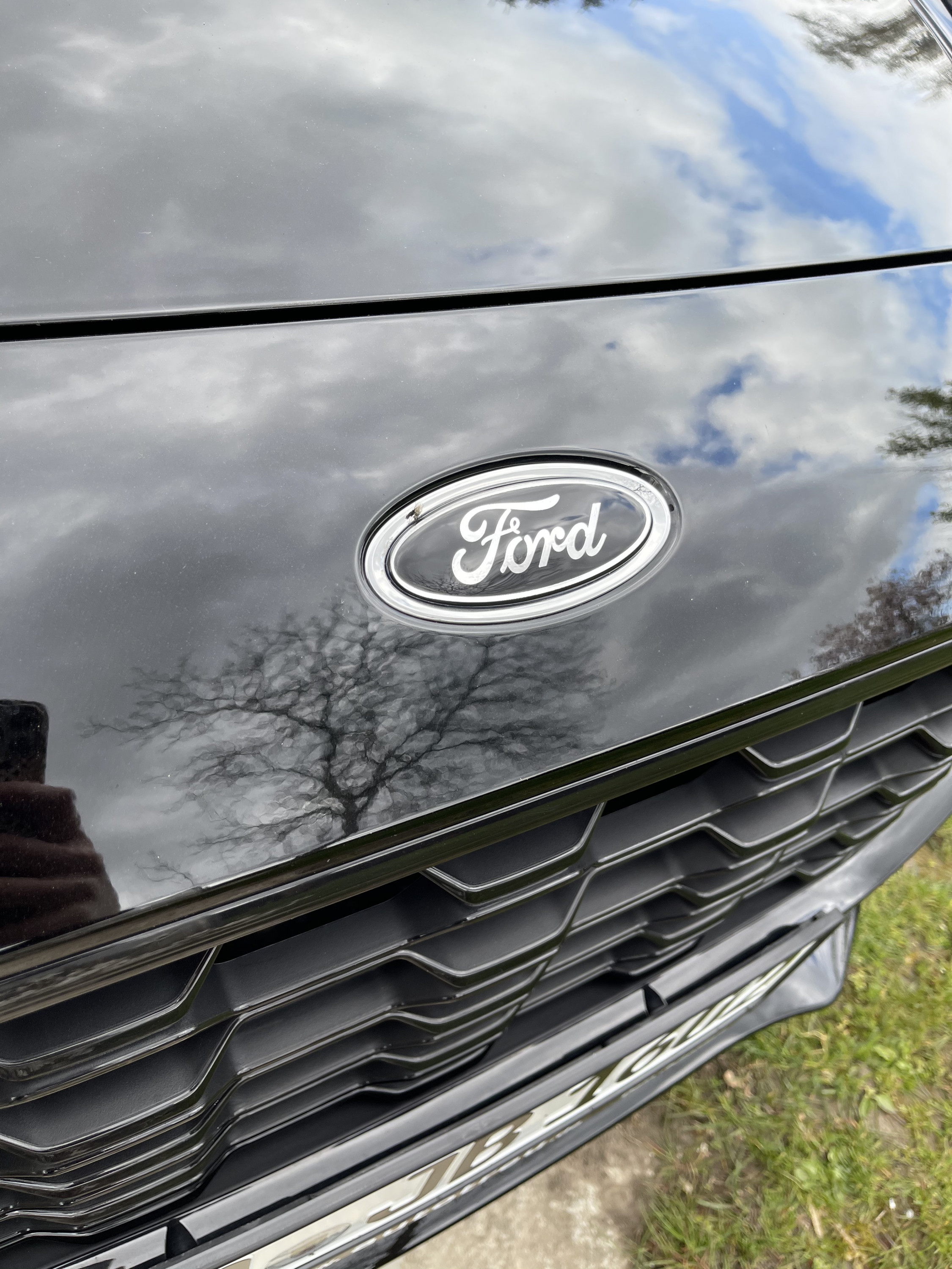 Gel Badge Overlay - Black Ford